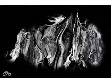 10947309 1616588995273123 6970169124687039071 n.jpg