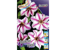 120,83���. �������� ������� ����(�������� ���� �� 3 ��., ����������� ����� 1��.).jpg