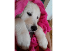 IMG 20151012 144253.jpg