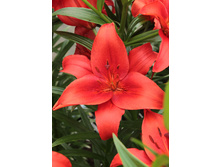 27,02���. ����� ��������(�������� ���� �� 5 ��., ����������� ����� 1��.).jpg