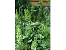 ����� ������� �������� 19,5.jpg