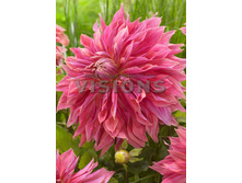 87,5���. �������� ������� ���� ������(�������� ���� �� 1 ��., ����������� ����� 1��.)���16.jpg