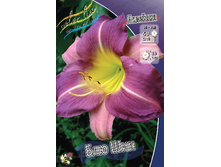 107���. �������� ��� ���(�������� ���� �� 1 ��., ����������� ����� 1��.).jpg