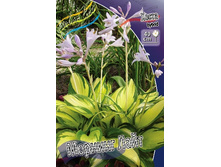 221,5���. ����� ������� ����(�������� ���� �� 1 ��., ����������� ����� 1��.).jpg