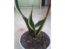 20151005 115319 HDR.jpg