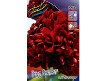 677,6���. ���� ��� �����(�������� ���� �� 1 ��., ����������� ����� 1��.).jpg