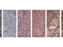 0010 black pearl-������ ���������-1900.jpg