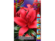 20,17���. ����� ��������(�������� ���� �� 7 ��., ����������� ����� 1��.).jpg