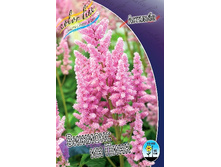 97,1���. �������� ������� �� ����(�������� ���� �� 1 ��., ����������� ����� 1��.).jpg