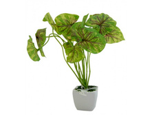 ������ � ������ "�����������" 26��