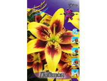 32,2���. ����� ������(�������� ���� �� 5 ��., ����������� ����� 1��.).jpg