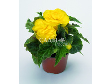 ������� �������������� ����� ������ ������ 10 ��. 31.jpg