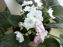 �� - ������������� ������