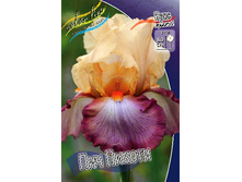 95,3���. ���� ���������� ��� ������(�������� ���� �� 2 ��., ����������� ����� 1��.).jpg