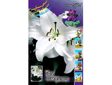 37,4���. ����� ��� ������(�������� ���� �� 5 ��., ����������� ����� 1��.).jpg