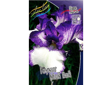 95,3���. ���� ���������� ������ ��� ���(�������� ���� �� 2 ��., ����������� ����� 1��.).jpg