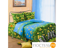 Ljubimyj dom lub49444 790�.jpg