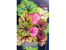 279,5���. ������� ������(�������� ���� �� 1 ��., ����������� ����� 1��.).jpg