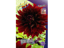 84,8���. �������� ��� ����(�������� ���� �� 1 ��., ����������� ����� 1��.).jpg