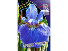 65,15���. ���� ��������� ������ ������(�������� ���� �� 2 ��., ����������� ����� 1��.).jpg