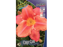 88,8���. �������� ���� ���(�������� ���� �� 1 ��., ����������� ����� 1��.).jpg