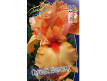 95,3���. ���� ���������� ����� �������(�������� ���� �� 2 ��., ����������� ����� 1��.).jpg