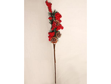 736/XH121667 �����