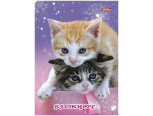 ������� �6 24�. �� ������� ���� ������ 5,52.jpg