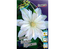 151���. �������� ������ ������ ��������(�������� ���� �� 3 ��., ����������� ����� 1��.).jpg