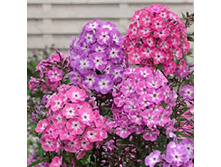 79,37���. ����� ������ �� �����(�������� ���� �� 3 ��., ����������� ����� 1��.)���15.jpg