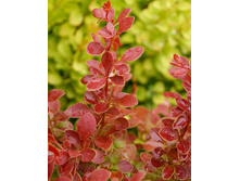 214���. �������� �������� ����� ���16.jpg