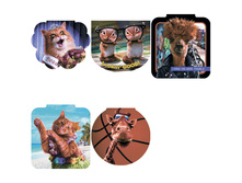 ������� �6 48�. �� ������� ����-���� - ������ 1 (Avanti), � �������� �������� 24,40.jpg