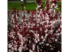 194���. ����� ���������� ����� �������.jpg