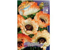 122���. ��� ������(�������� ���� �� 1 ��., ����������� ����� 1��.).jpg