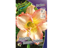 138,6���. �������� ������� ������ ������(�������� ���� �� 1 ��., ����������� ����� 1��.).jpg