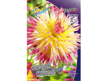 89,4���. �������� ������� ������(�������� ���� �� 1 ��., ����������� ����� 1��.).jpg