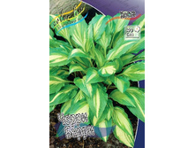 126,9���. ����� ����� �����(�������� ���� �� 1 ��., ����������� ����� 1��.).jpg