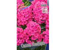 51,17���. ����� ������ �������(�������� ���� �� 3 ��., ����������� ����� 1��.).jpg