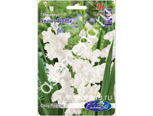 ���� �����.jpg