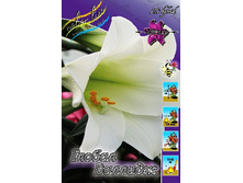 25,36���. ����� ������ �������(�������� ���� �� 7 ��., ����������� ����� 1��.).jpg