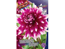 84,8���. �������� �������� �����(�������� ���� �� 1 ��., ����������� ����� 1��.).jpg