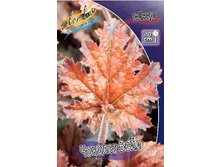 171,7���. ������� ������� ����(�������� ���� �� 1 ��., ����������� ����� 1��.).jpg