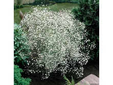 ��������� ����������� 0,1�� 8.jpg