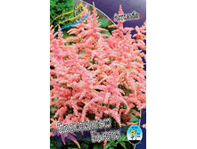 67,6���. �������� ���������� �����(�������� ���� �� 1 ��., ����������� ����� 1��.).jpg