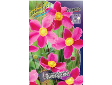 102,1���. ������� ���������(�������� ���� �� 1 ��., ����������� ����� 1��.).jpg