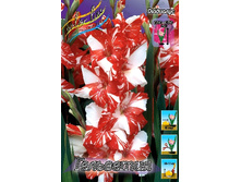 8,18���. ��������� ���������(���������� ������ ������ ���������� �� 8 ��.).jpg