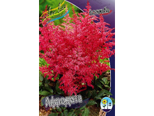 83,8���. �������� ��������(�������� ���� �� 1 ��., ����������� ����� 1��.).jpg