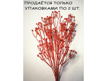 11/0023� �����