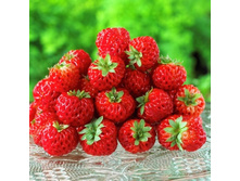 158���. ��������� ������� ��������� ��� ����.jpg