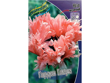 107���. ��� ������ �����(�������� ���� �� 1 ��., ����������� ����� 1��.).jpg